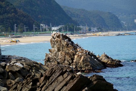 20151015 최광모 SONY DSC-RX10 DSC04344 20151024