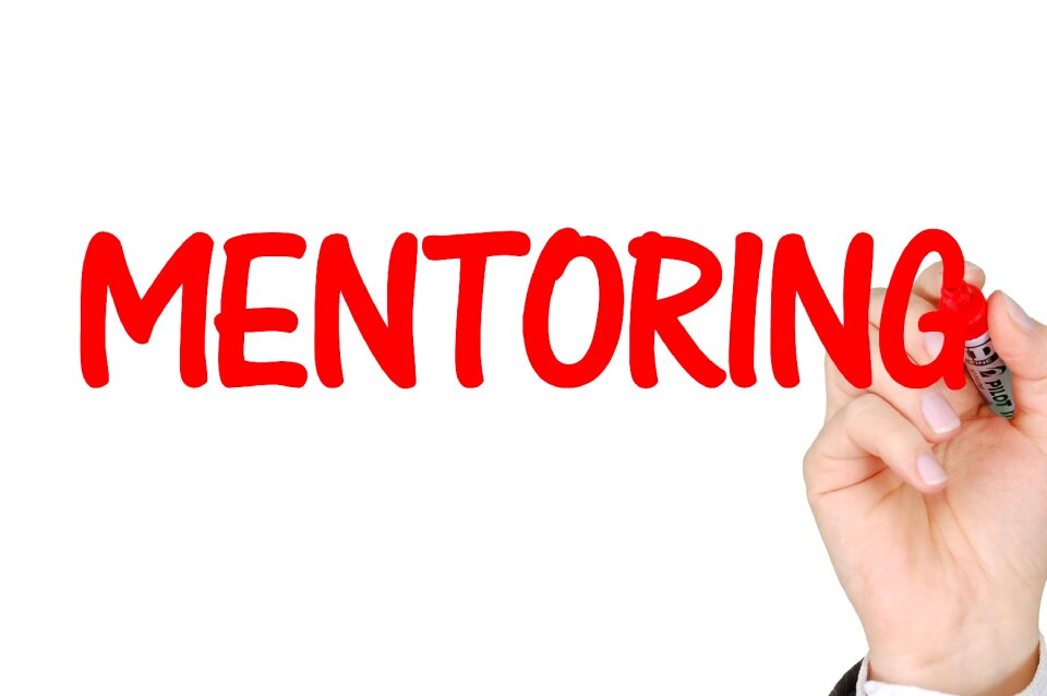 Mentor teamwork development