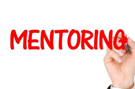 Mentor teamwork development