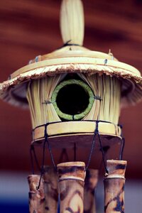 Naturale bird's nest home