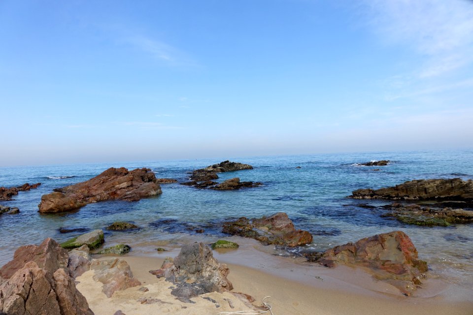 20151015 최광모 SONY DSC-RX10 DSC04362 20151024