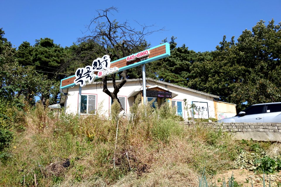 20151013 최광모 SONY DSC-RX10 DSC04172 20151024