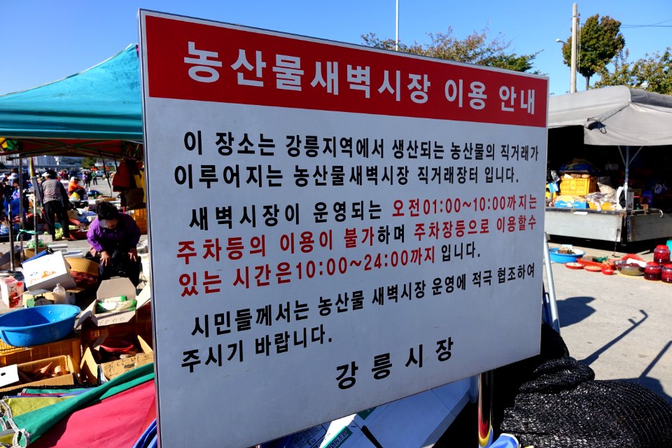 20151012 최광모 SONY DSC-RX10 DSC04131 20151024