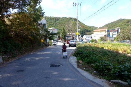 20151015 최광모 SONY DSC-RX10 DSC04328 20151024