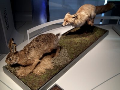 2019-08-15 Staatliches Museum für Archäologie Chemnitz 08