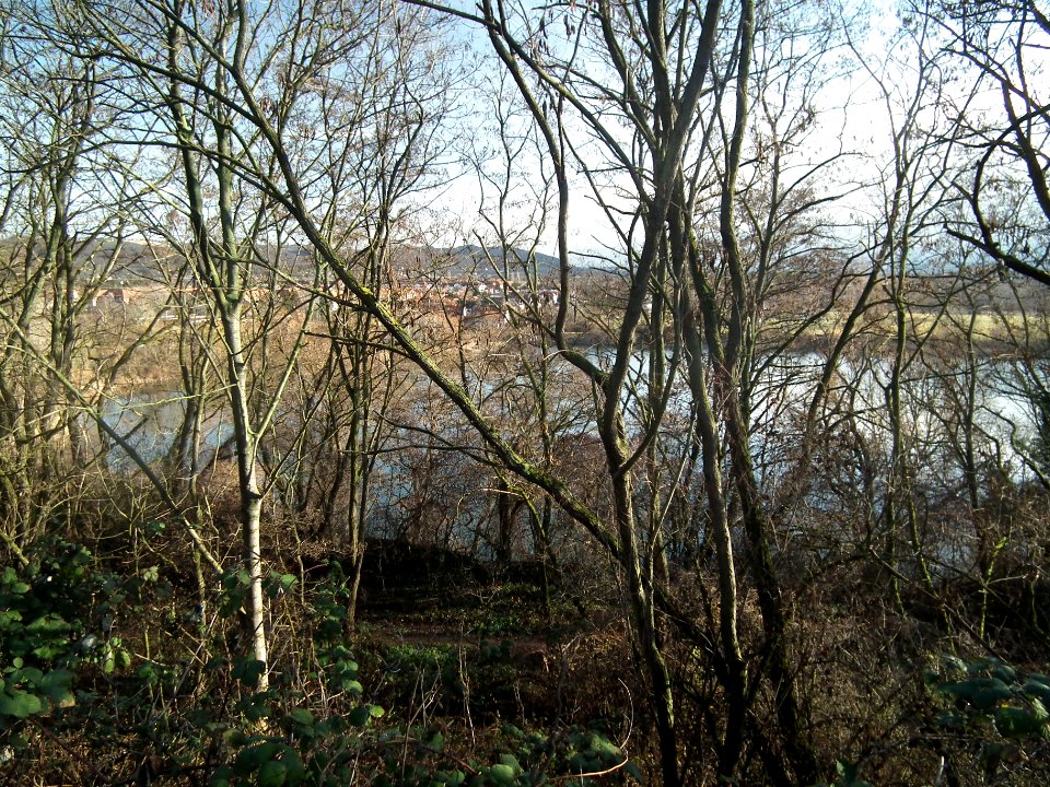 20181227 Dresden 035