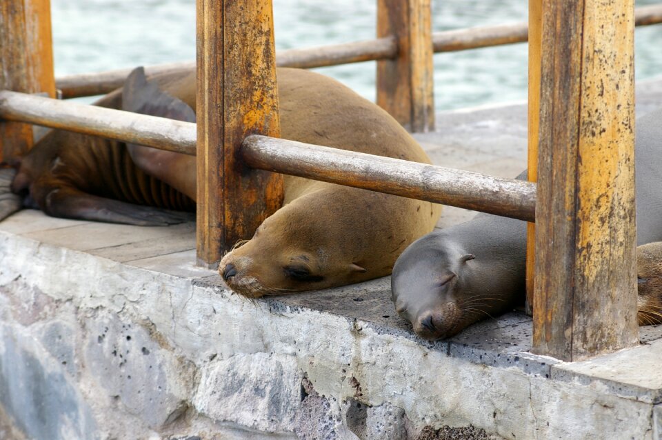 Crawl togetherness waters