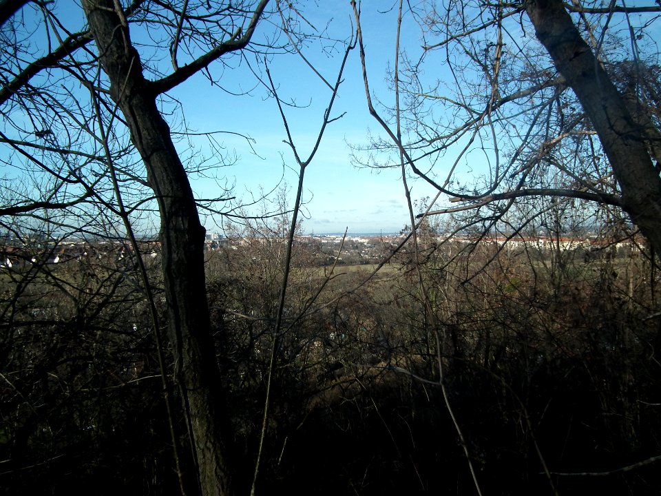 20181227 Dresden 039