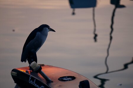 Water shadow boat photo