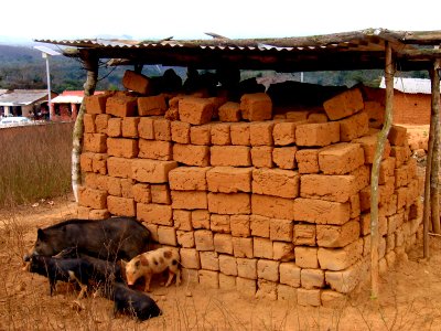 Clay block bricks in Angolan village