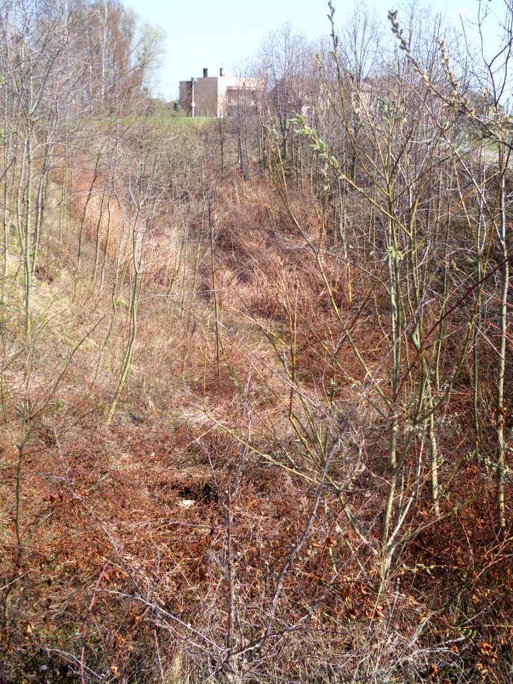 Chuchelna abandoned railway