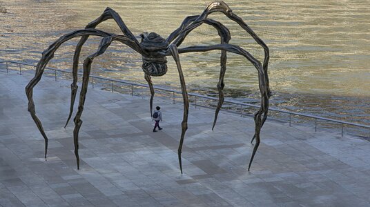 Guggenheim museum insect guggemheim