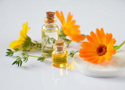 Calendula spa cosmetics photo