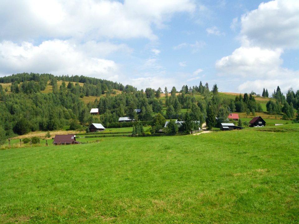 Chlipavica