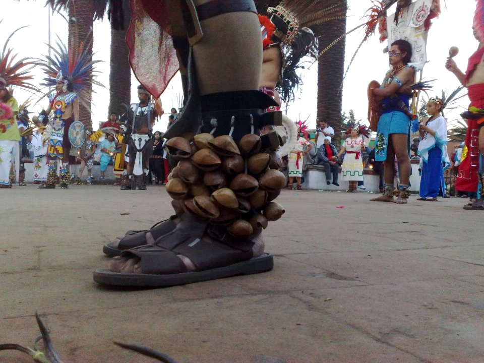 Conchas atadas al tobillo