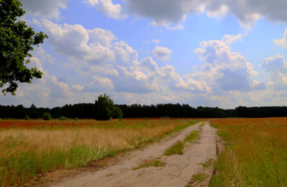 Byhleguhre Byhlen 04