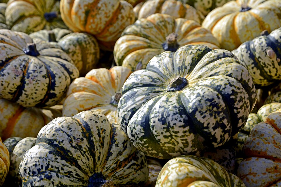 Autumn thanksgiving decoration