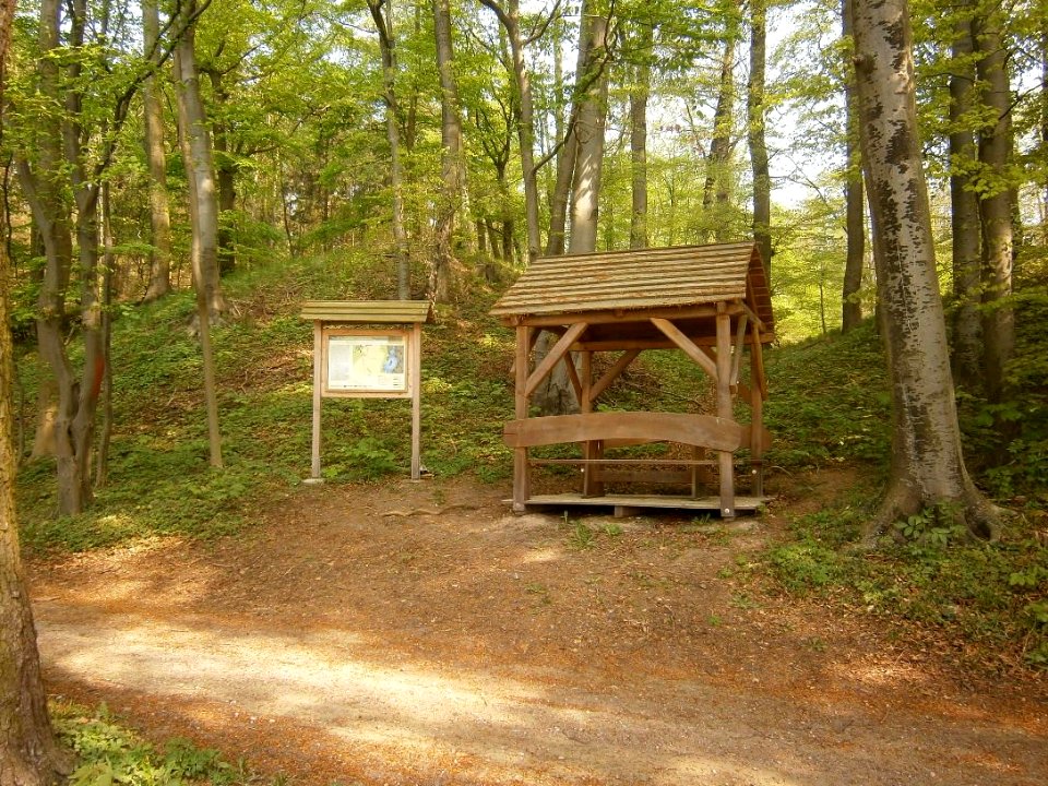 BurgwallWildbergKastorferSee1