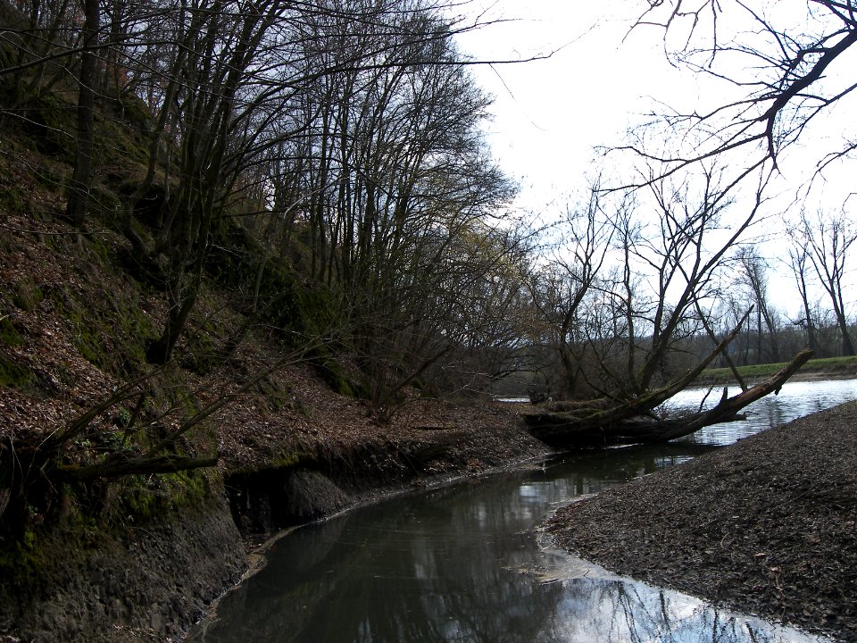 Brno Reservoir 3602