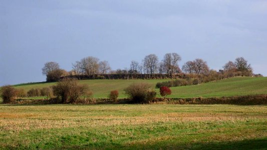 BurgwallGrapenwerder