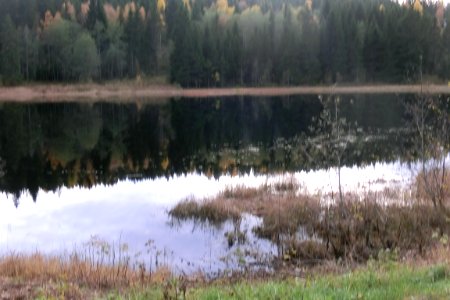 Butjärnen, Bjärtrå