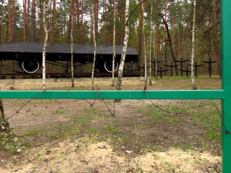Bykivnia Graves34