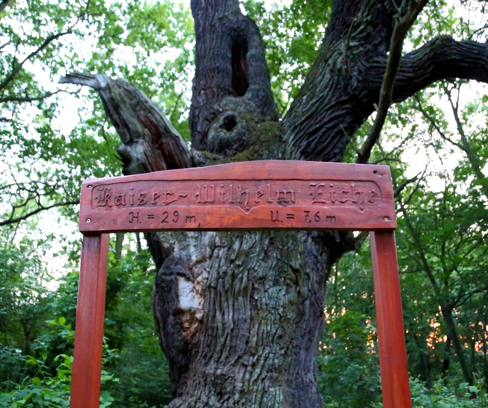 Byttna Kaiser Wilhelm Eiche Namenstafel 03