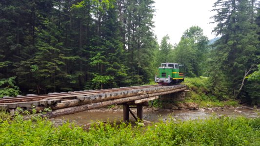 Bukovec narrow gauge bridge3