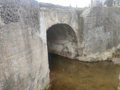 Bridge in Vinogradovo - 2021-05-02 - p2