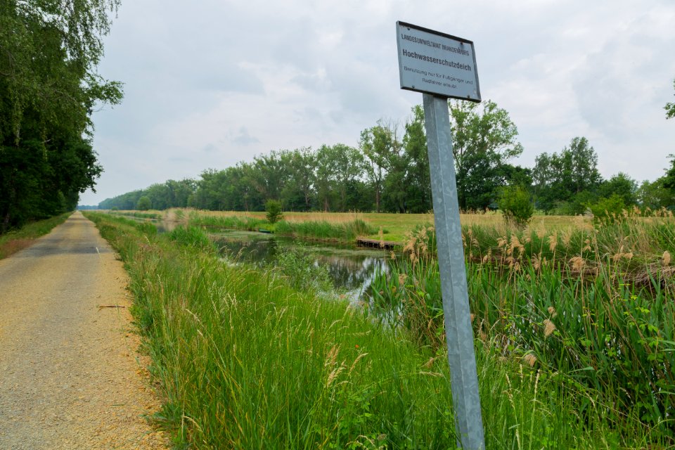 Bukoitza Eichkanal 05