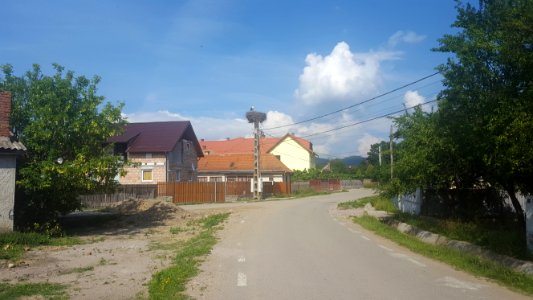 Bretcu stork nest
