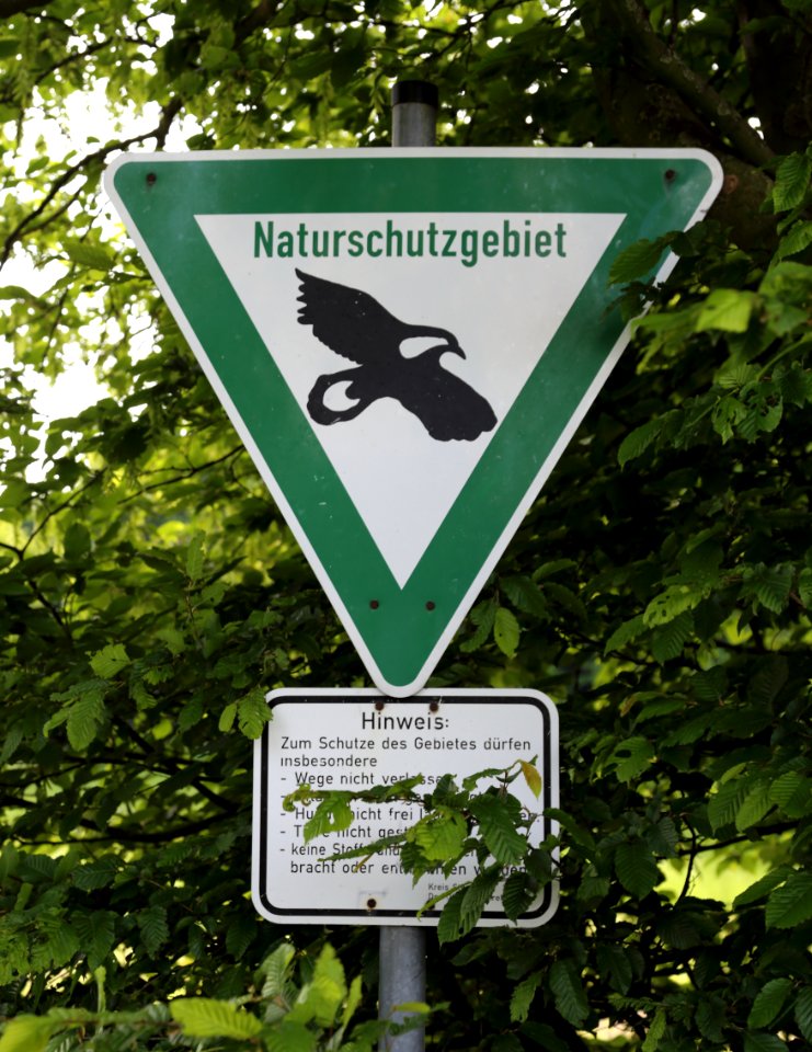 Brochterbeck Naturschutzgebiet Osterklee 13