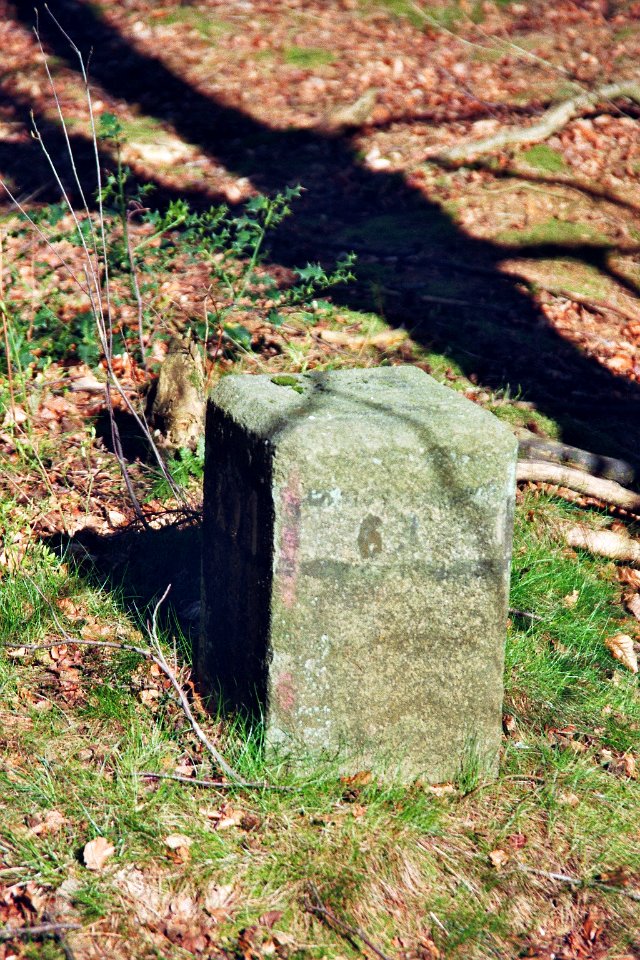 Buchholzer Forst Boundary stone 2
