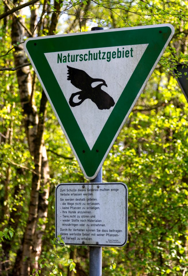 Brochterbeck NSG In den Hiaerken 02