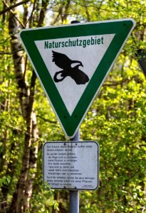 Brochterbeck NSG In den Hiaerken 02