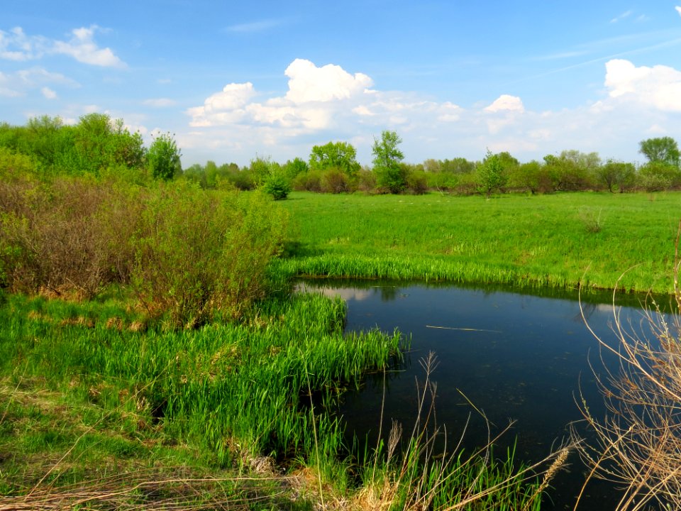 Chervyak lake Muromets3