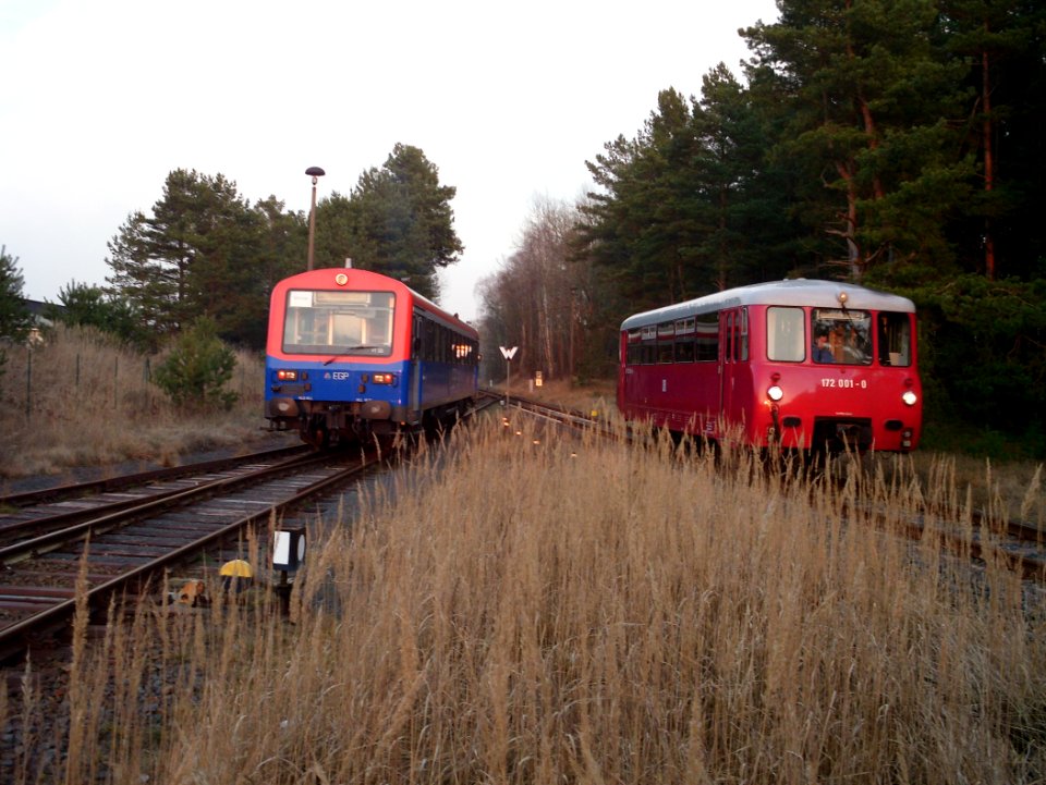 Buergerhorst railcars