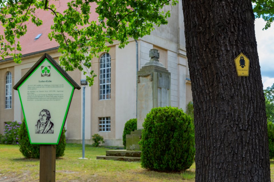 Burg Luthereiche 06
