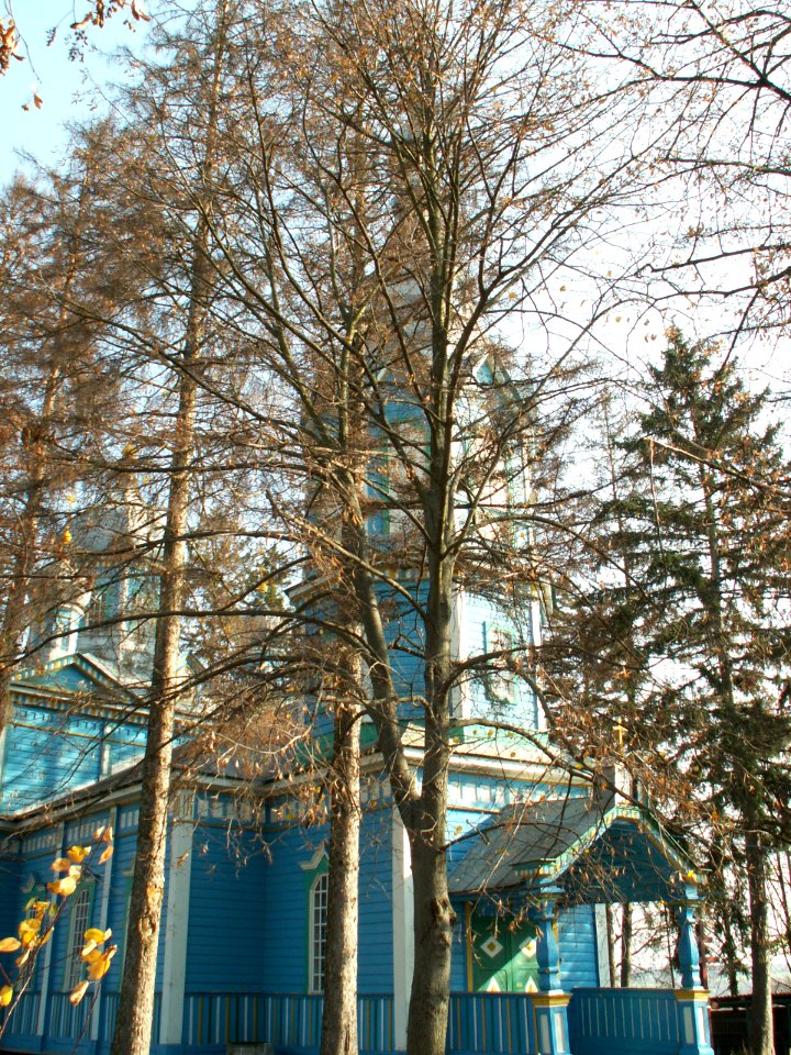 Bubnivka Church 3 Ukraine