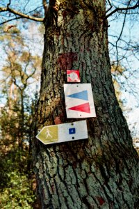 Buchholzer Forst Hiking Signs