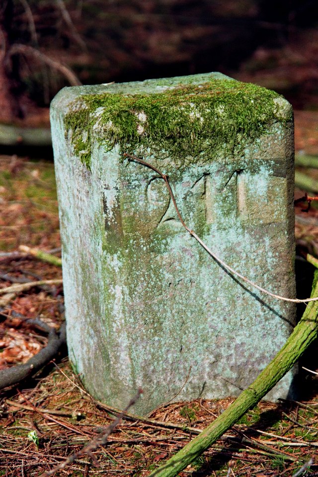 Buchholzer Forst Boundary stone 1