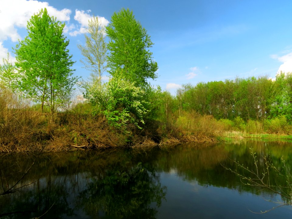 Chervyak lake Muromets2
