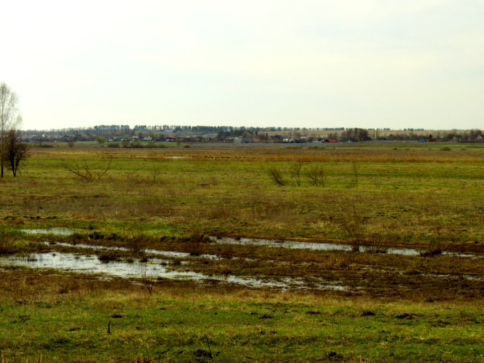 Chervone (Vyshhorod)4