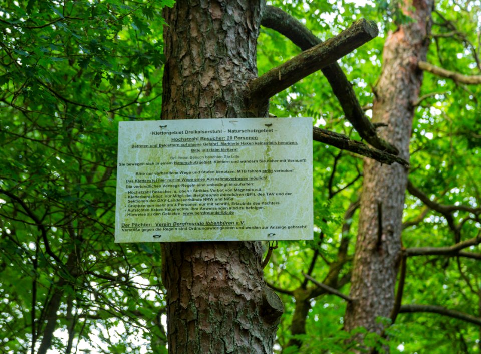 Brochterbeck Dreikaiserstuhl 09