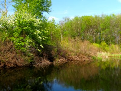 Chervyak lake Muromets4