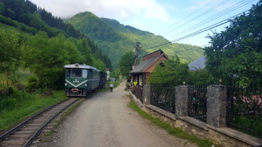 CFF Viseu tourist train