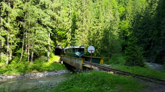 CFF Viseu tunnel bridge Botizu