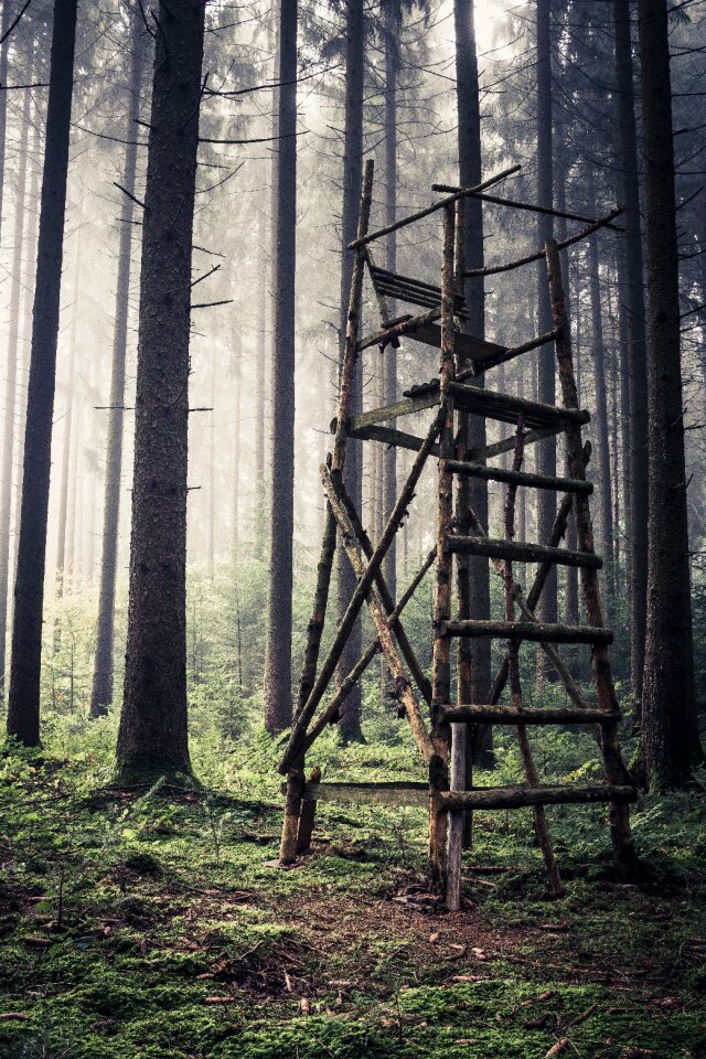 Perch forest hunter seat