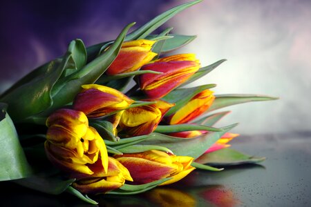 Bouquet romantic romance