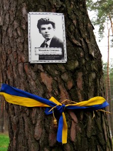 Bykivnia Graves23